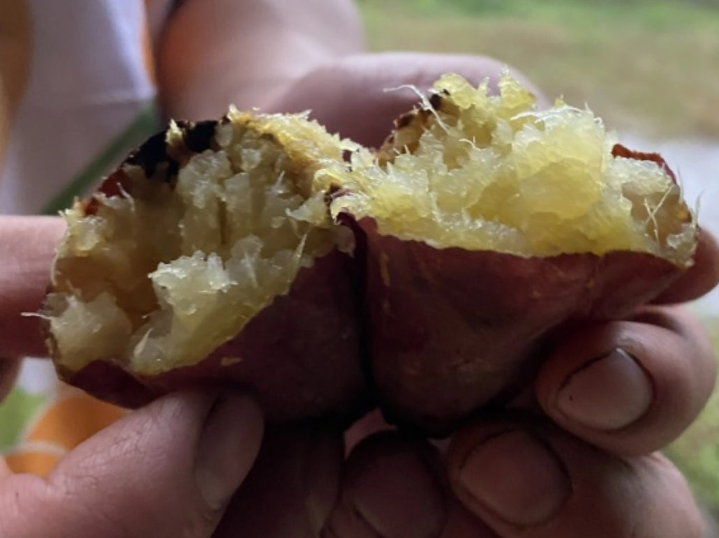 しっとりあま~い!焼き芋!!1kg 約6本