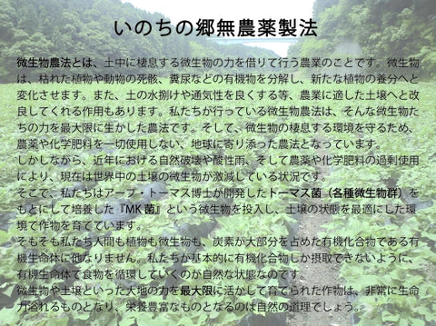 熟成干し芋