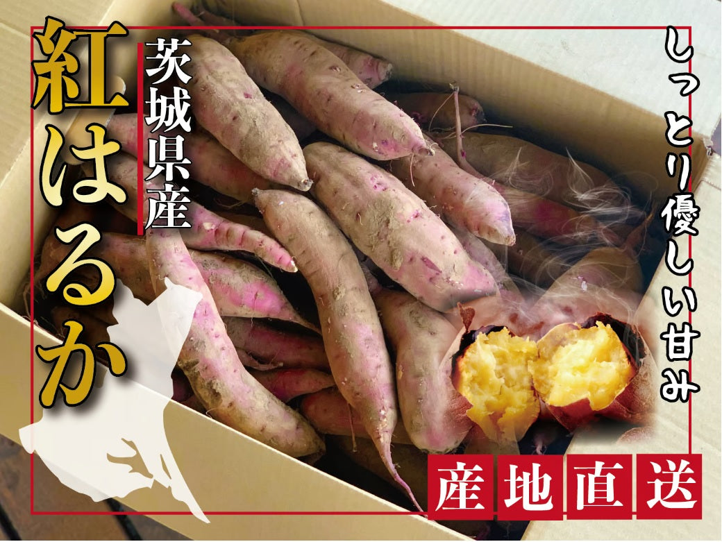 【茨城県産】さつま芋紅はるか