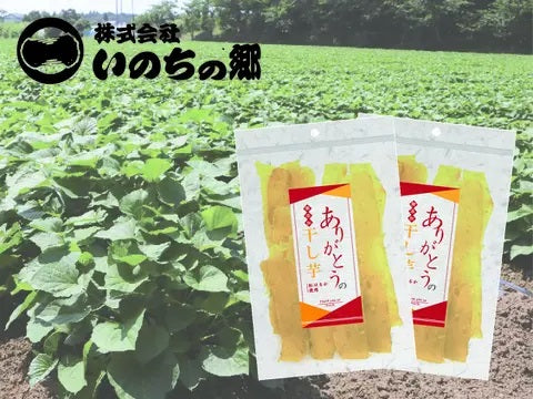 熟成干し芋