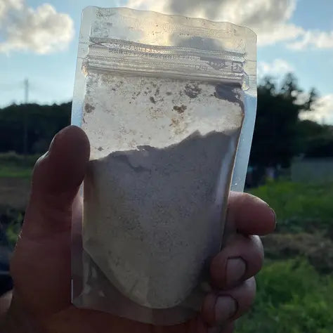 茨城県産農薬不使用のレンコンパウダー(50g)✖︎2袋
